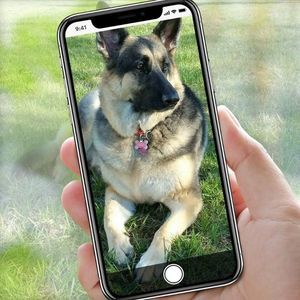 Meet your Posher, Scott